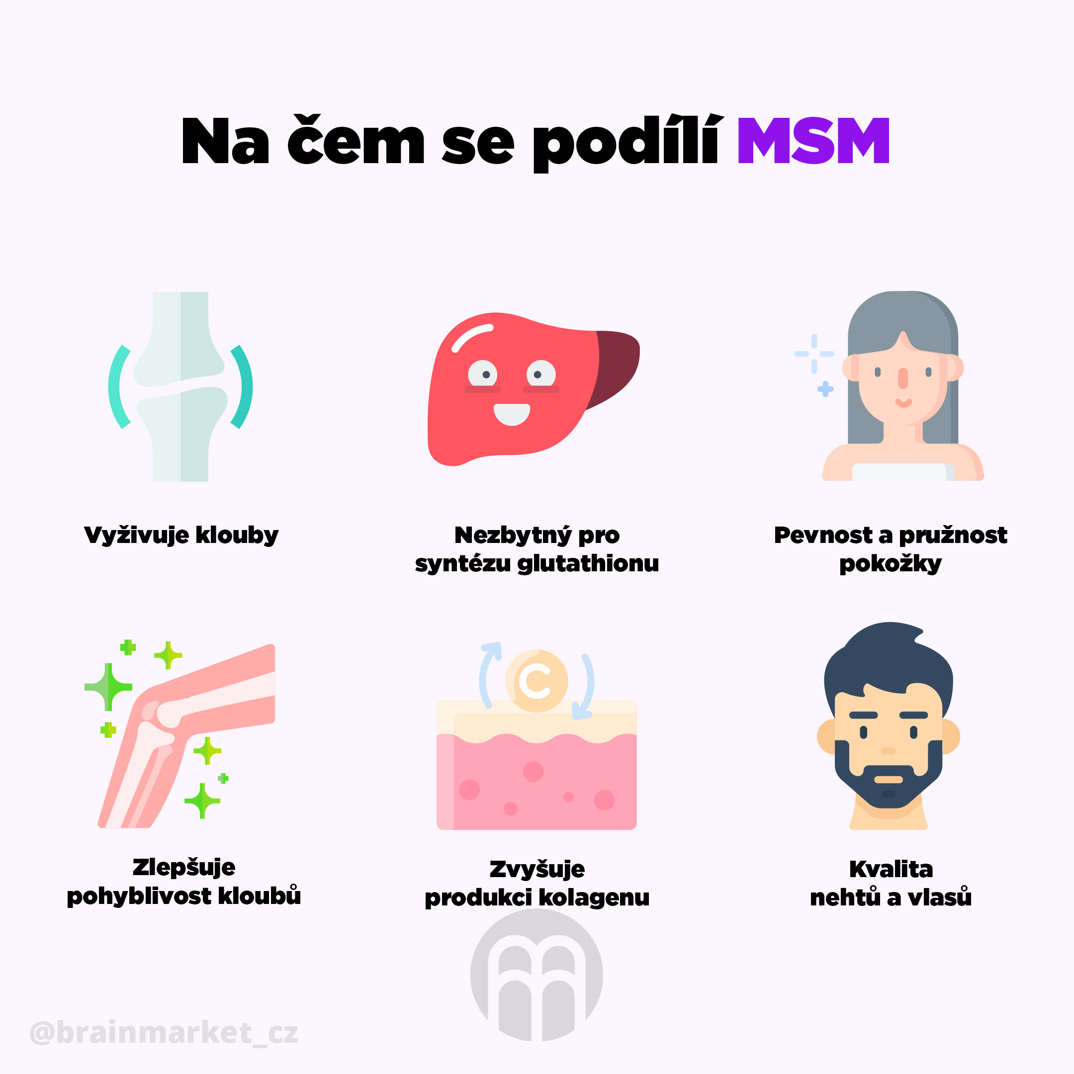 na cem se podili msm brainmarket-infografika-cz